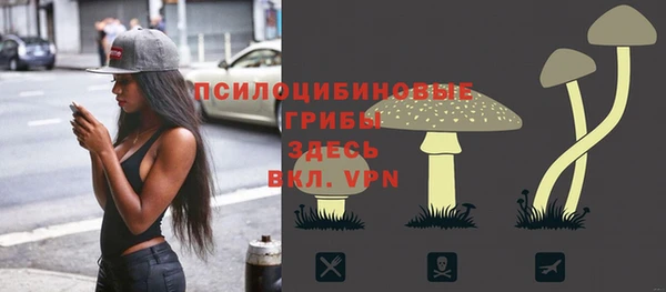 а пвп мука Нея
