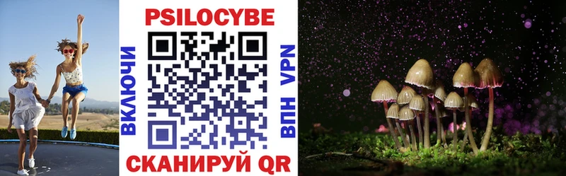 Галлюциногенные грибы Psilocybine cubensis  blacksprut вход  Пойковский 